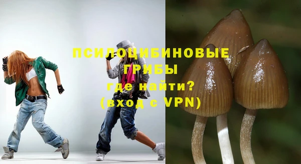 ГАЛЛЮЦИНОГЕННЫЕ ГРИБЫ Арсеньев