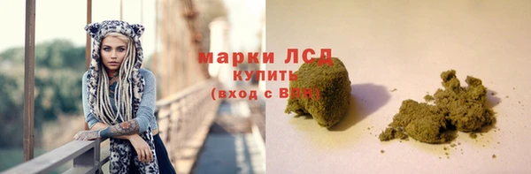 ГАЛЛЮЦИНОГЕННЫЕ ГРИБЫ Арсеньев
