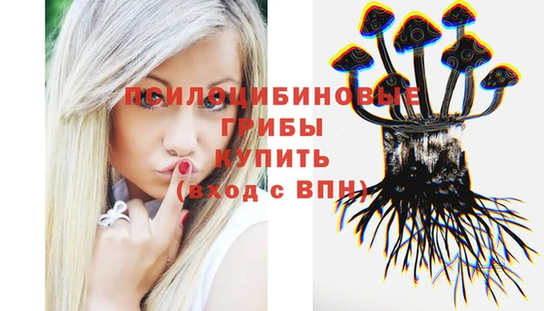 ГАЛЛЮЦИНОГЕННЫЕ ГРИБЫ Арсеньев