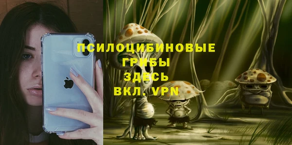 стаф Армянск